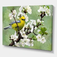 Designart Bird On A Branch of Cherry Canvas Wall Art