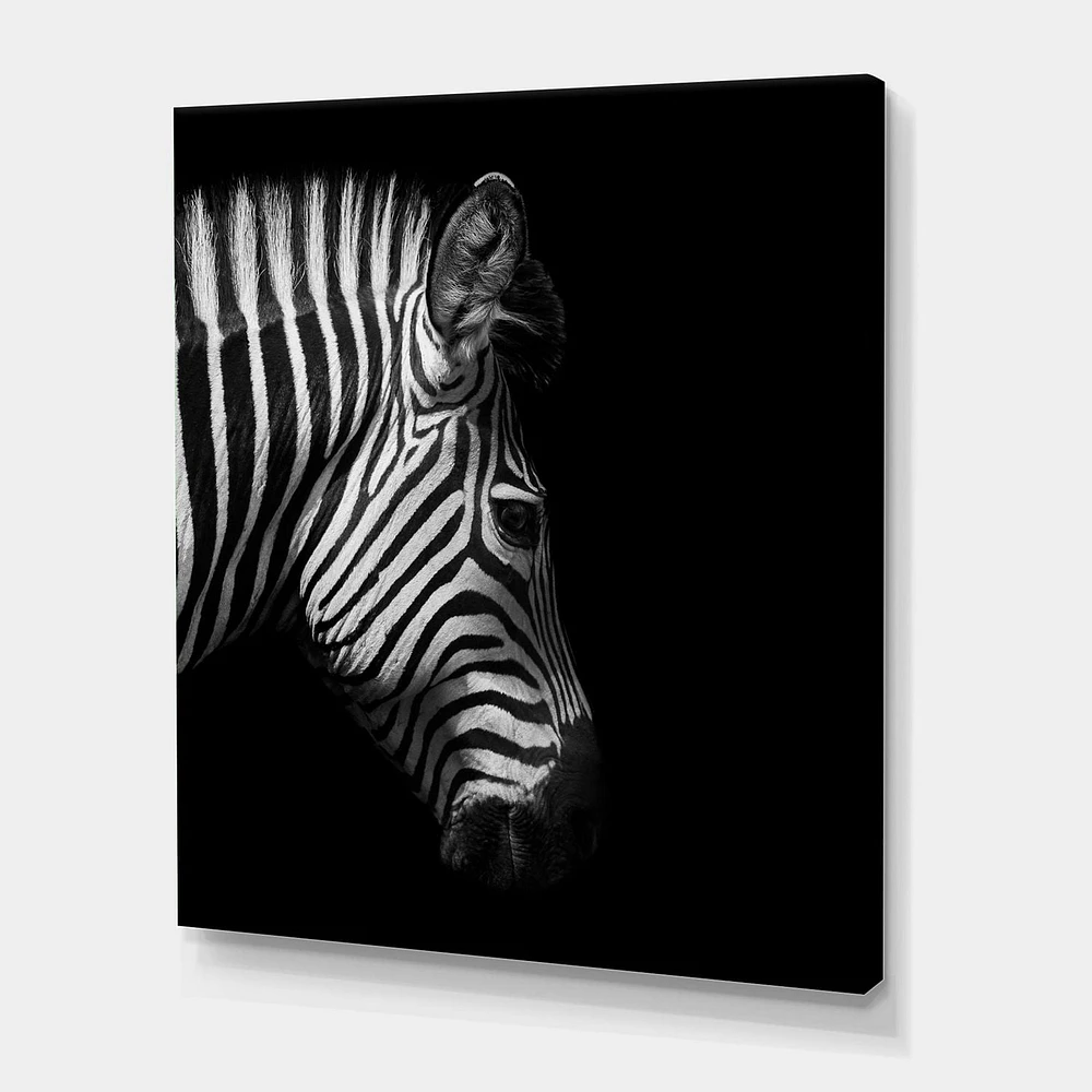 Designart Monochrome Portrait of Zebra Head Canvas Wall Art