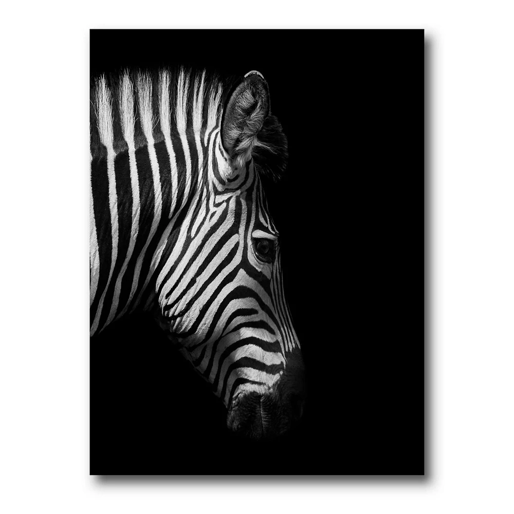 Designart Monochrome Portrait of Zebra Head Canvas Wall Art