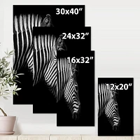 Designart Monochrome Portrait of Zebra Head Canvas Wall Art