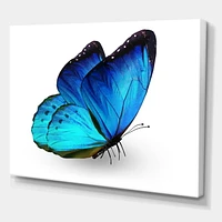 Designart Vibrant Blue Butterfly Canvas Wall Art