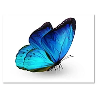 Designart Vibrant Blue Butterfly Canvas Wall Art