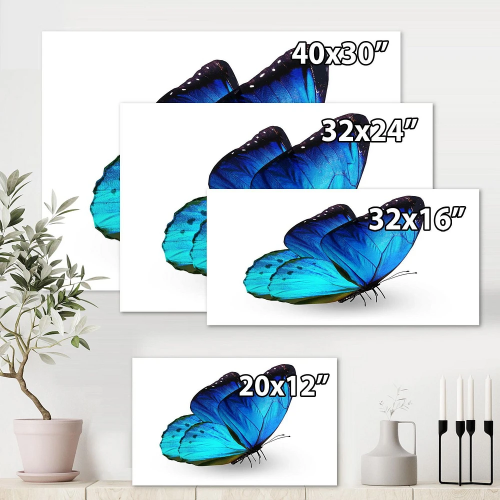 Designart Vibrant Blue Butterfly Canvas Wall Art