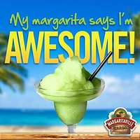 Margaritaville  Bahamas 36-Ounce Frozen-Concoction Maker, DM0500A033