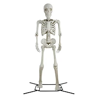 Way to celebrate 10 Feet Skeleton