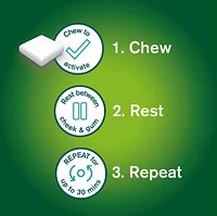 Nicorette Gum, Nicotine 4mg, Spearmint Flavour, Quit Smoking Aid and Smoking Cessation Aid, 210 Pieces