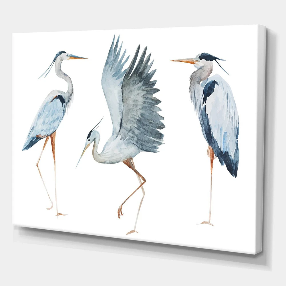 Designart Heron Birds II Canvas Wall Art