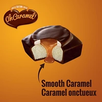 Vachon® Ah Caramel Salted Caramel Cakes