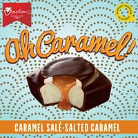 Vachon® Ah Caramel Salted Caramel Cakes