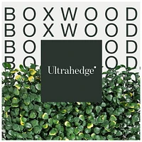 UltraHedge Small Boxwood Artificial Hedge 20" x 20" Panel