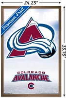 Avalanche du Colorado de la LNH