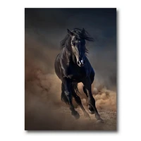 Designart Portrait Of Thoroughbred Nonius Stallion Horse I Canvas Wall Art