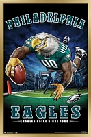 NFL Philadelphia Eagles - End Zone 17 Wall Poster