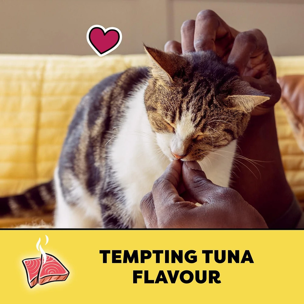 Gâteries pour chats Temptations saveur de thon délicieux, tendres à l'intérieur, croquantes à l'extérieur 454 g