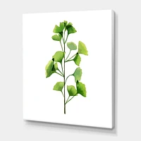 Designart Green Field Plant Foliage Canvas Wall Art