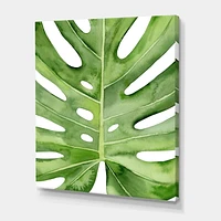 Designart Green Monstera Leaf Tropical Palm Botanical Detail Canvas Wall Art