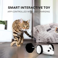 INSTACHEW Purechase Smart Cat Mouse Toy, white