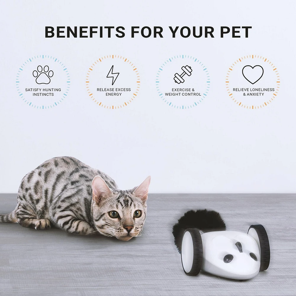 INSTACHEW Purechase Smart Cat Mouse Toy, white