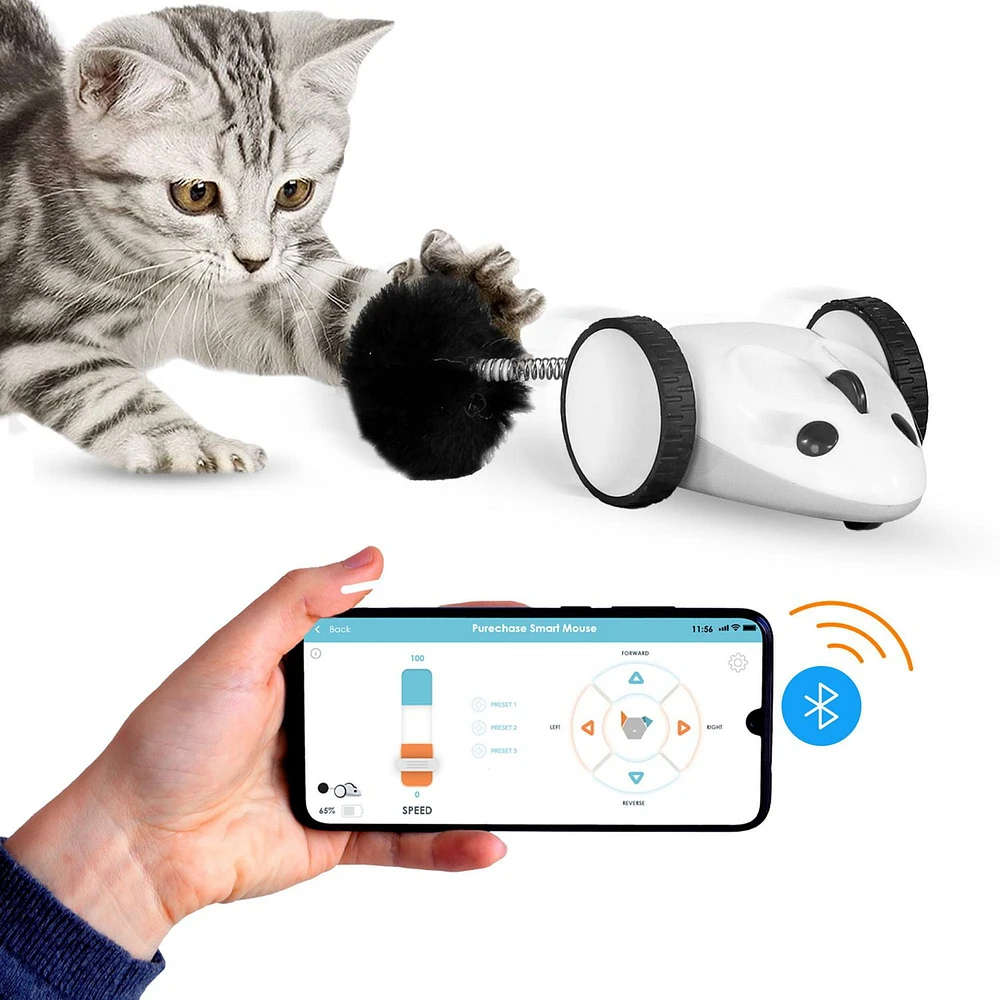 INSTACHEW Purechase Smart Cat Mouse Toy, white