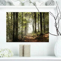 Designart Green Fall Forest with Sun Rays Canvas Wall Art