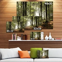 Designart Green Fall Forest with Sun Rays Canvas Wall Art