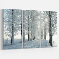 Designart Winter Trees Backlit by Morning Sun Canvas Wall Art