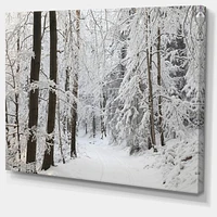 Designart Dense Winter Forest and Lane Canvas Wall Art