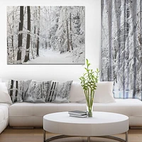 Designart Dense Winter Forest and Lane Canvas Wall Art