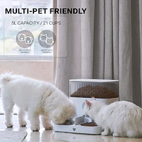 Instachew Purechew Double Automatic Pet Feeder, Two-Way Splitter and Double Bowls for Cats and Dogs