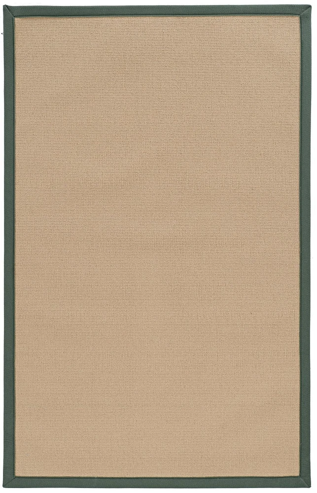 Athena Sisal & 4' x 6' Accent Rug