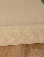 Athena Sisal & 4' x 6' Accent Rug