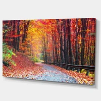 Designart Road in Beautiful Autumn Forest Canvas Wall Art