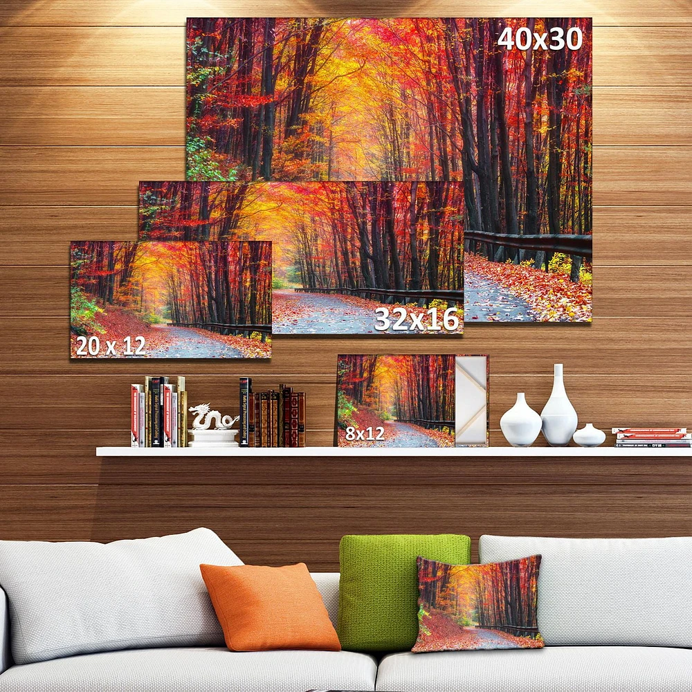 Designart Road in Beautiful Autumn Forest Canvas Wall Art