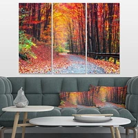 Designart Road in Beautiful Autumn Forest Canvas Wall Art