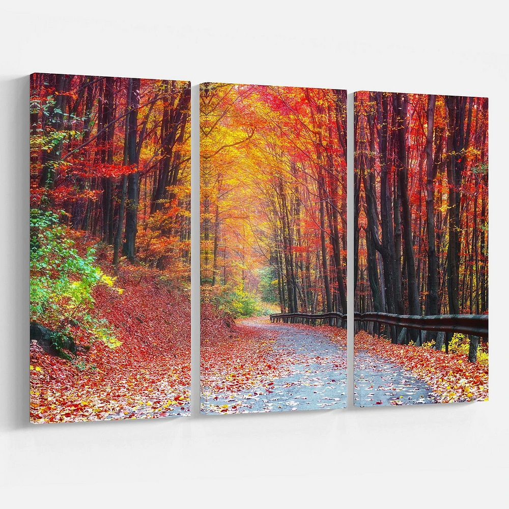 Designart Road in Beautiful Autumn Forest Canvas Wall Art