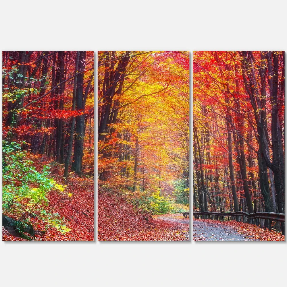 Designart Road in Beautiful Autumn Forest Canvas Wall Art