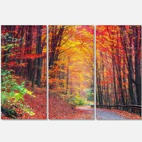 Designart Road in Beautiful Autumn Forest Canvas Wall Art