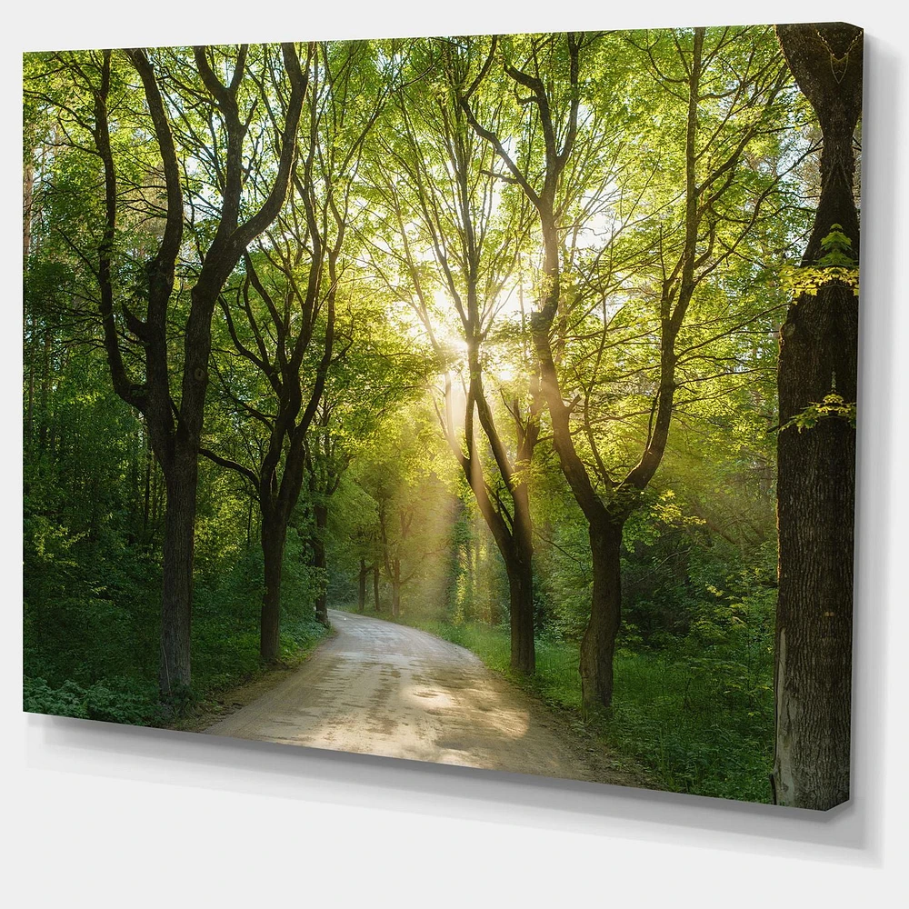 Designart Evening in Green Forest Canvas Wall Art