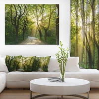 Designart Evening in Green Forest Canvas Wall Art