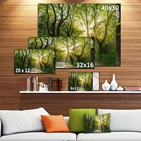 Designart Evening in Green Forest Canvas Wall Art