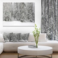 Designart Foggy Winter Forest Panorama Canvas Wall Art