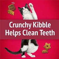 Friskies Party Mix Croquant Grillade Gâteries pour Chats 170g