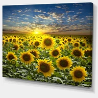 Designart Field of Blooming Sunflowers Canvas Wall Art