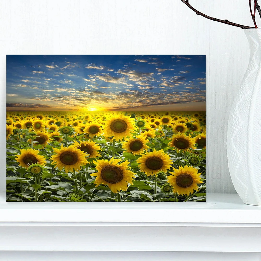 Designart Field of Blooming Sunflowers Canvas Wall Art