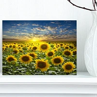 Designart Field of Blooming Sunflowers Canvas Wall Art