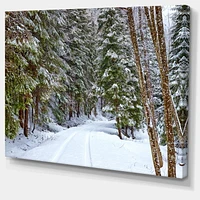 Designart Snowy Road in the Forest Canvas Wall Art