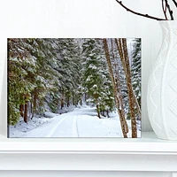 Designart Snowy Road in the Forest Canvas Wall Art