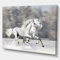 Designart Two White Horse Canvas Wall Art