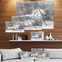 Designart Two White Horse Canvas Wall Art