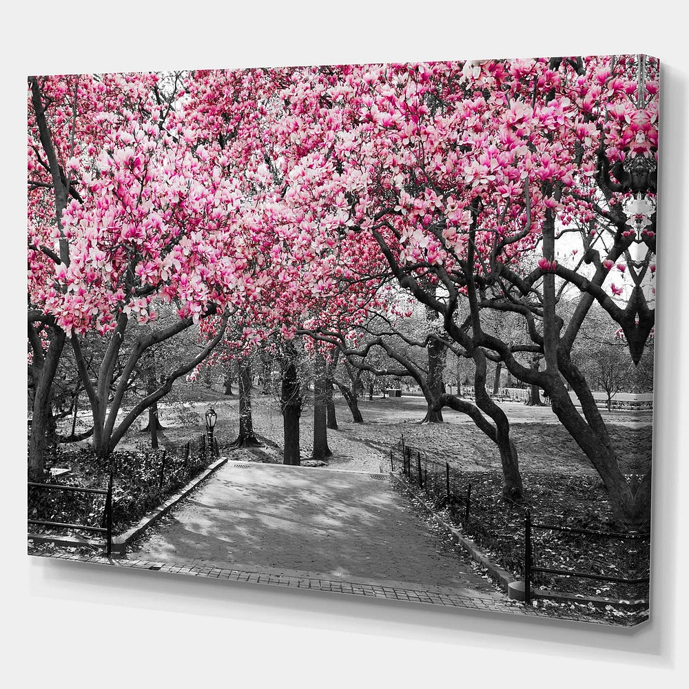 Designart Cherry Blossoms Canvas Wall Art